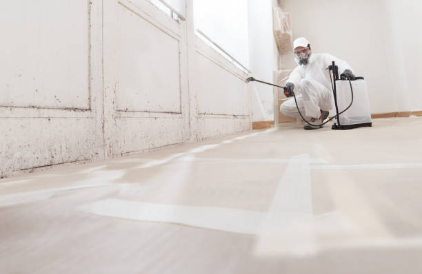 24/7 Emergency Mold Inspection experts in Closter, NJ