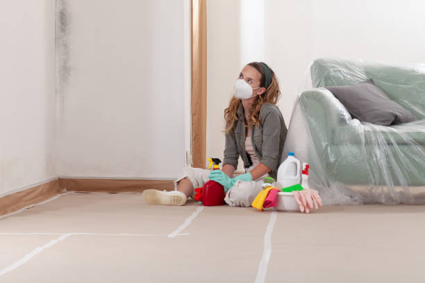Reliable Mold Cleanup contractor in Closter, NJ by Cheap Mold Removal